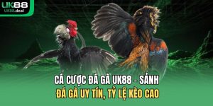 cá cược đá gà UK88