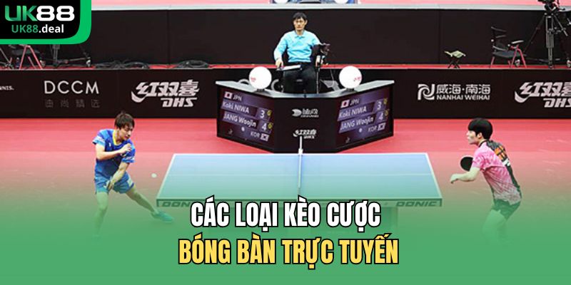 Các loại kèo cược bóng bàn trực tuyến