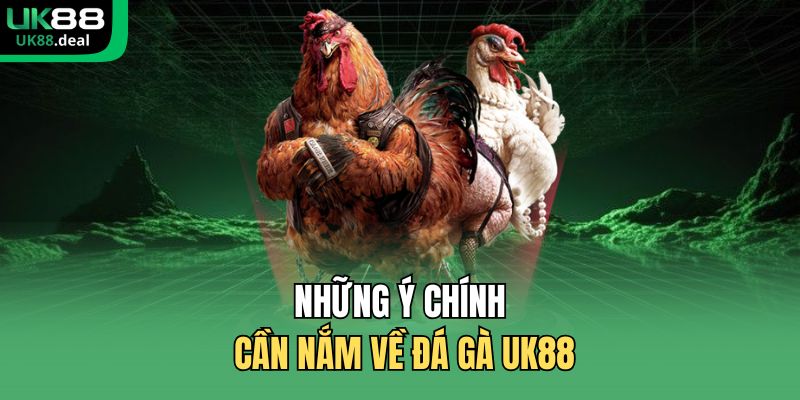 Những ý chính cần nắm về đá gà UK88
